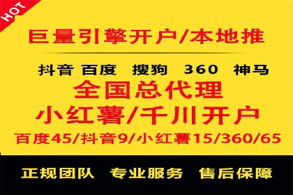 行业领先的SEM竞价广告投放案例